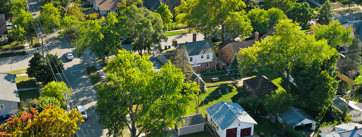 Neighbor With Many Roofs in Grand Haven