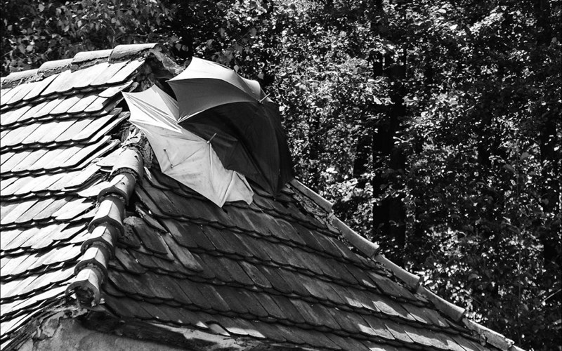 umbrellas-on-leaking-roof