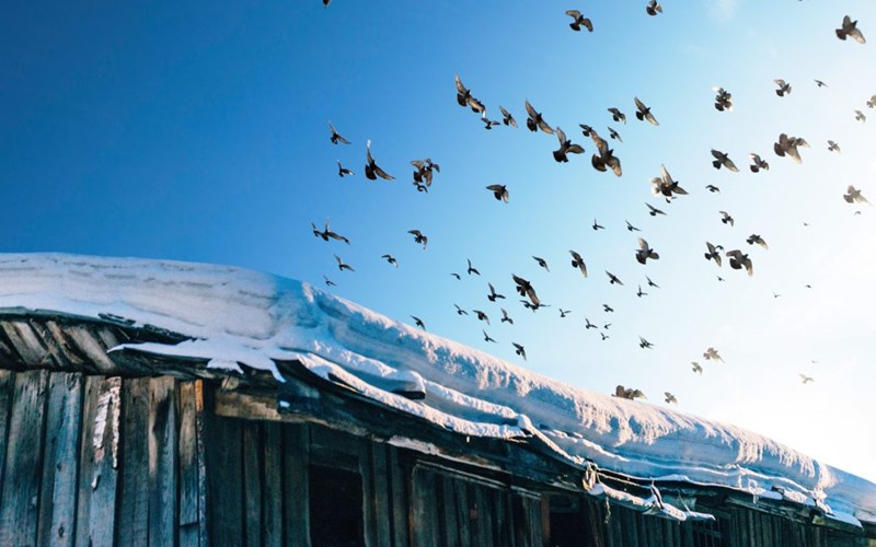Roof with ice and Snow in Winter