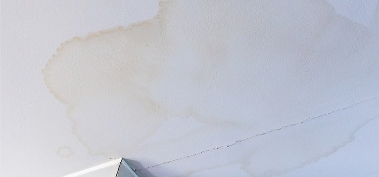 Roof showing signs of damage in Michigan