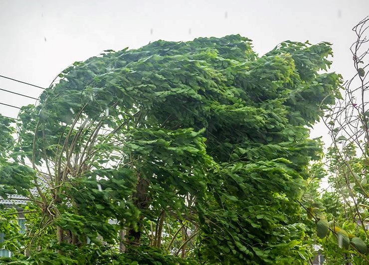 Wind storm damage to roof
