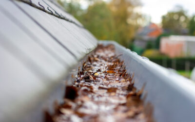 The 5 Best Fall Roof Maintenance Tips