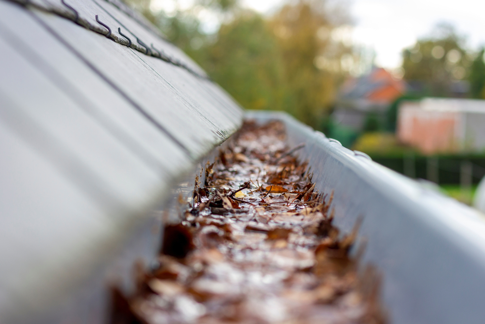 The 5 Best Fall Roof Maintenance Tips