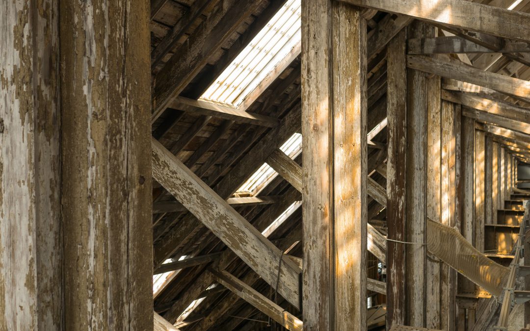 wood-trusses-in-attic