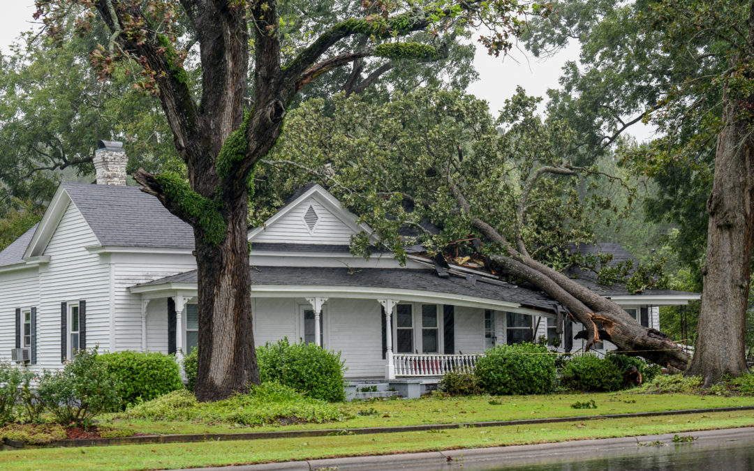 What to Do When Your Roof Is Damaged by a Storm