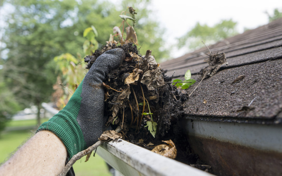 Why Keep Your Gutters Clean