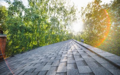 Are Architectural Shingles Energy Efficient?