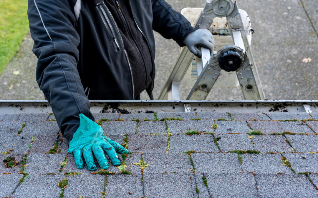 The Best Spring Roof Maintenance Tips