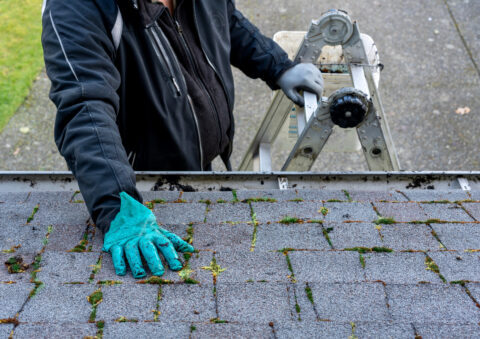 The Best Spring Roof Maintenance Tips - Werner Roofing - Grand Haven