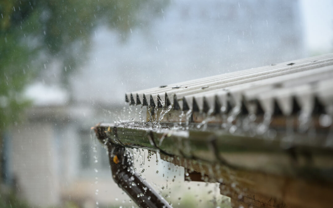 Sustainable Roofing: How To Harvest Rainwater and Other Eco-Friendly Gutter Solutions