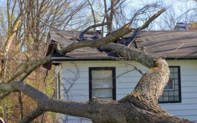 The Top 5 Mistakes Homeowners Make During the Roof Insurance Claim Process (and How To Avoid Them)