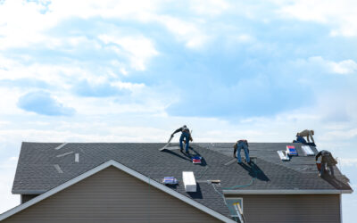 Shingle Roof Repair in Holland, MI: 5 Signs It’s Time to Call a Professional