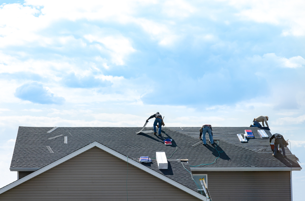 Shingle Roof Repair in Holland, MI: 5 Signs It’s Time to Call a Professional